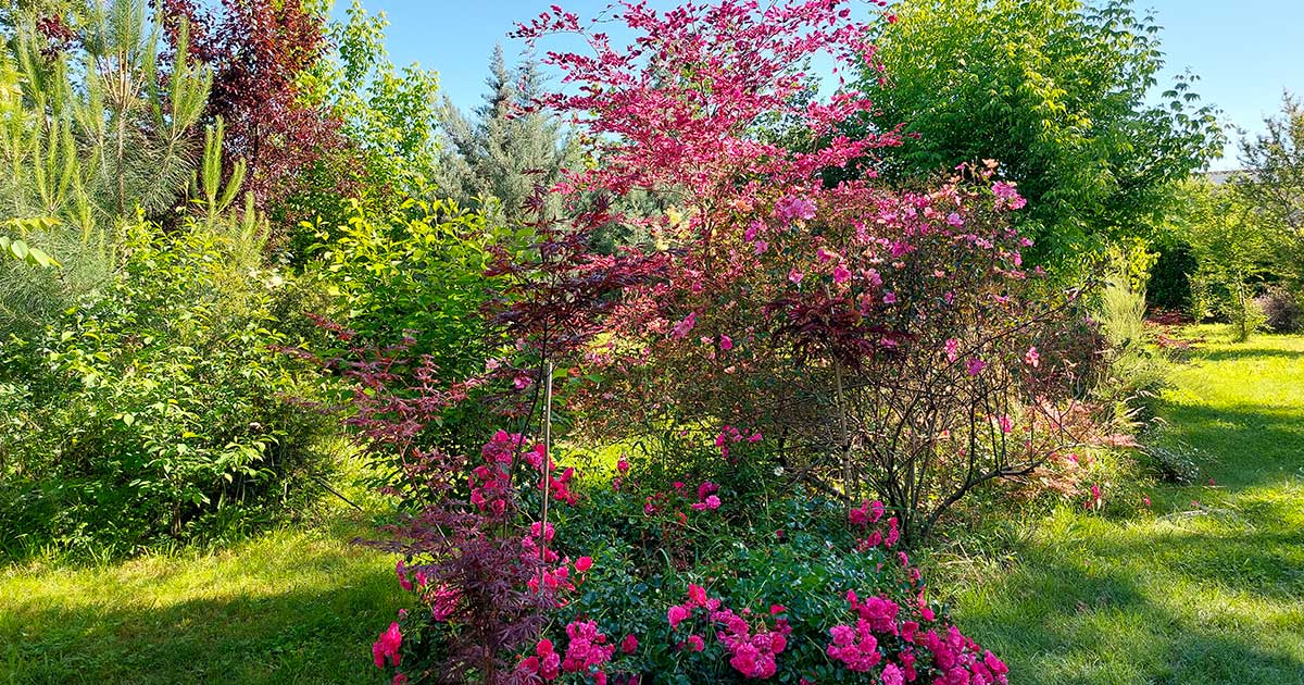 Giardini Caneva appartamento vacanze Il Grottino di Sarzana